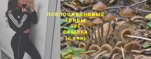 марки nbome Алексеевка