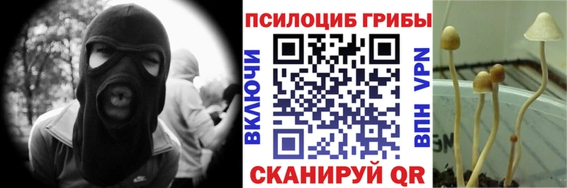 Галлюциногенные грибы мухоморы Боготол